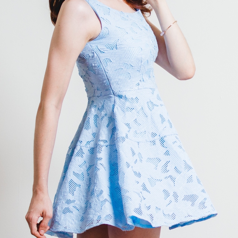 Lace Mesh Fit and Flare Dress